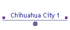 Chihuahua City 1