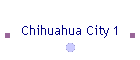 Chihuahua City 1