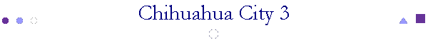 Chihuahua City 3