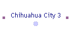 Chihuahua City 3