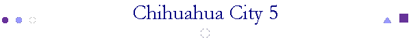 Chihuahua City 5