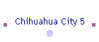 Chihuahua City 5