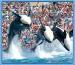 SEA WORLD SAN DIEGO