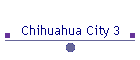 Chihuahua City 3