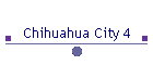 Chihuahua City 4