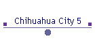 Chihuahua City 5